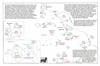 dum67 banda sea 1_thumb.gif